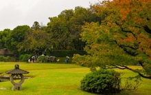 Nhật Bản chuẩn bị đón khách cho mùa "lá vàng lá đỏ"