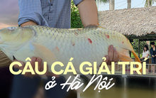 Những địa điểm câu cá giải trí ở Hà Nội giúp xua tan mọi buồn phiền