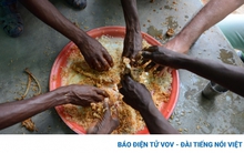 LHQ cảnh báo “mất an ninh lương thực ở mức độ chưa từng có”