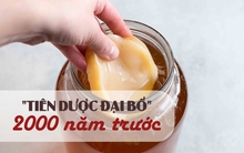 Thức uống từ 2.000 năm trước đã được ví như "tiên dược đại bổ"