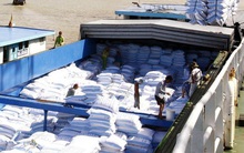 Ấn Độ hạn chế xuất khẩu, nhiều doanh nghiệp tìm mua gạo Việt