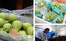 Hà Nội xử lý hàng loạt cửa hàng bán hoa quả nhập khẩu