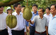 Xuất khẩu sầu riêng: Phải giữ chữ tín