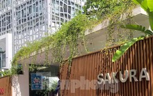 Thực hư vụ bé gái 3 tuổi nghi bị bắt cóc tại Trường mầm non Sakura Hải Phòng