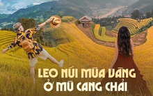 Lúa Tây Bắc chín rồi, ghim ngay địa điểm leo núi đẹp nhất để không trễ hẹn mùa vàng năm nay