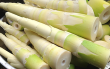 Điểm mặt các thực phẩm chứa chất cực độc, là ‘sát thủ’ thầm lặng trong nhà bếp ít ai chú ý