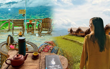 5 homestay ngắm toàn cảnh mùa lúa chín Tây Bắc đẹp 'quên lối về' đang có giá rất hợp lý