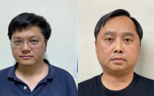 Kịch bản mua 'xác' công ty để thổi giá cổ phiếu, 'lùa gà' của Chủ tịch Louis Holdings