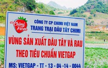 Chứng nhận VietGAP "xịn" có dễ đạt hay không?