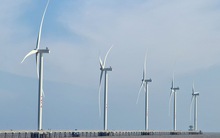 Cục Điều tiết điện lực: EVN phải có trách nhiệm đàm phán giá điện với các dự án điện tái tạo