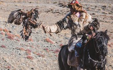 Thợ săn đại bàng - trái tim hoang dã trên thảo nguyên