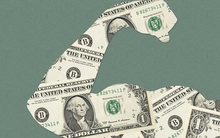 Cuộc chiến với đồng bạc xanh: Lựa chọn nào cho các ngân hàng trung ương?