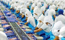 Rà soát tất cả thủy sản xuất sang châu Âu để gỡ 'thẻ vàng'