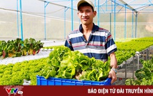 Vụ rau VietGAP 'dởm' vào siêu thị: Lâm Đồng tăng cường quản lý nguồn gốc nông sản