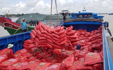 Đưa thương hiệu gạo 'Vietnam Rice' vào thị trường cao cấp