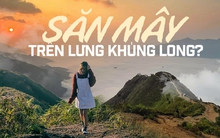 Đến Tây Bắc trải nghiệm săn mây trên "sống lưng khủng long"