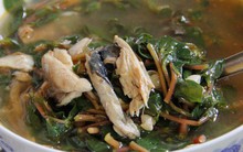 Loại rau được ca tụng là "rau trường thọ", ở Việt Nam toàn mọc dại mà không biết