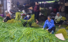 Hà Nội: Làng cốm Mễ Trì tất bật vào vụ lớn nhất trong năm