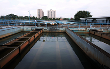 CII muốn bán cổ phần SII cho DNP Water