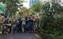 Hình ảnh thiệt hại ban đầu do bão Noru gây ra tại Đà Nẵng