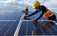 Doanh nghiệp điện của ông Vũ Quang Bảo nợ hơn 8.000 tỷ, lãi 21 tỷ đồng trong 6T2022