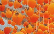 Ngắm dàn hồng treo gió khiến cộng đồng Facebook "dậy sóng" của mẹ đảm