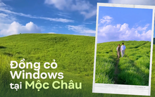 Tận hưởng kỳ nghỉ dài, giới trẻ rủ nhau “săn ảnh” tại đồng cỏ xanh mướt giữa lòng Mộc Châu