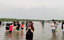 Cười ‘bể bụng’ với loạt hình ảnh mới nhất về biển vô cực Thái Bình