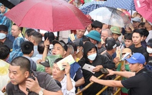 Vạn người đội mưa, chen chân về xem Lễ hội chọi trâu Đồ Sơn, Hải Phòng