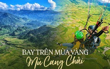 Dù lượn tại Mù Cang Chải hút hồn giới trẻ, trải nghiệm "bay" thú vị nên thử một lần trong đời