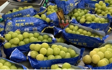 Nho sữa ở Trung Quốc không còn là loại hoa quả quý tộc