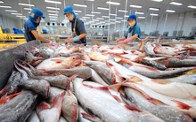 Xuất khẩu nông lâm thủy sản đạt hơn 36 tỉ USD