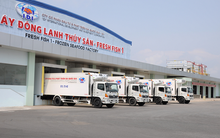 Thủy sản IDI lần đầu tiên trả cổ tức sau 3 năm, tỷ lệ 15% bằng tiền