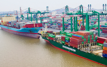 Sau nhiều biến động cổ đông, người có liên quan tới T&D ứng cử vào HĐQT Viconship