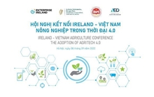 Hội nghị kết nối Ireland - Việt Nam về nông nghiệp 4.0