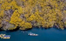 Ở Huế có một cánh rừng thuộc hệ cực quý hiếm còn sót lại ở Đông Nam Á