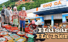 Có gì trong khu chợ hải sản nức tiếng "giá rẻ giật mình" nằm giữa phố thị vùng biên độc nhất miền Tây?