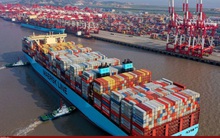 Cước vận tải biển giảm 60% từ đầu năm 2022