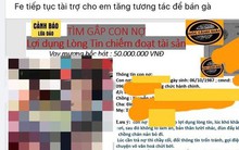 Giả danh nhân viên công ty tài chính đòi nợ như tín dụng đen
