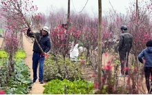 Người lao động mong được nghỉ Tết Nguyên đán Quý Mão 2023 sớm từ 28 tháng Chạp