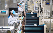 PMI tháng 8 của Việt Nam được đánh giá ra sao so với các nước trong khu vực ASEAN?