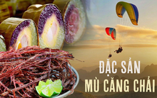 Ghé Mù Căng Chải bay dù ngắm lúa chín, đừng quên mua những đặc sản này về làm quà