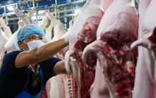 Người chăn nuôi lo mất Tết