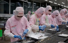 Động lực tăng trưởng kinh tế Việt Nam - Bài cuối: Sẵn sàng đi đường dài