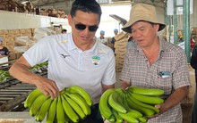 Sau 8 năm 'trồng chuối, nuôi heo', bầu Đức bán được bao nhiêu con heo thịt, bao nhiêu tấn trái cây ?