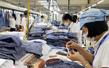 Lao động bị mất việc: Hỗ trợ cách nào?