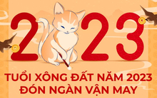 Năm 2023, có 4 tuổi xông đất cực tốt đem lại may mắn, tiền tài cả năm cho gia chủ