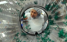 Báo Đức: Ngày càng nhiều doanh nghiệp Đức muốn hoạt động tại Việt Nam