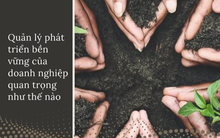 ABeam Consulting: Nổi bật với dịch vụ Xây dựng chiến lược và hệ thống giúp các công ty Nhật Bản phát triển bền vững