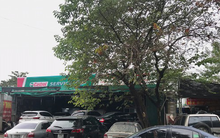Người dùng tấp nập đưa ô tô đi bảo dưỡng dịp cận Tết